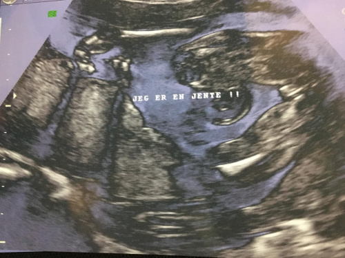 3a78dad2c76cad71med.jpg