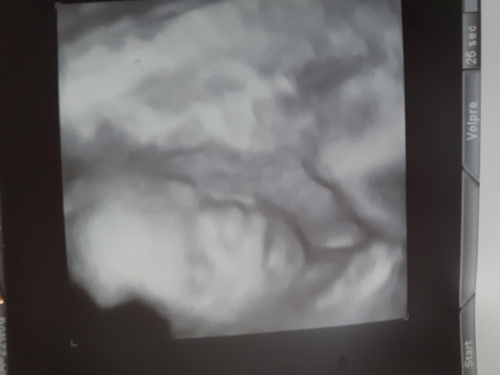 525e4f58196e5699med.jpg