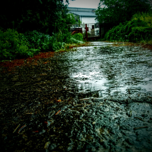Droga w deszczu