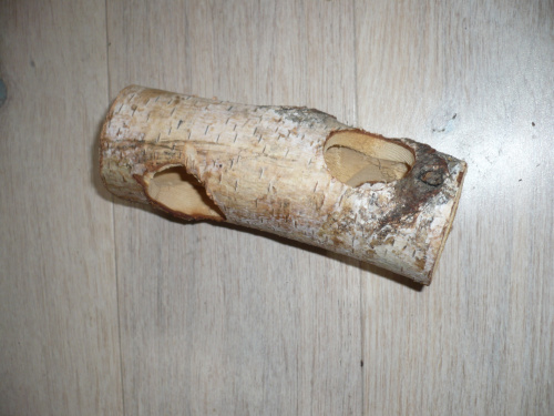 Brzozowy tunelik dla małych gryzoni - używana, po dezynfekcji, której ślady pozostały - 5 zł