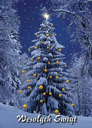 życzę wszystkim spokojnych i radosnych Świąt Bożego Narodzenia oraz szczęśliwego Nowego Roku