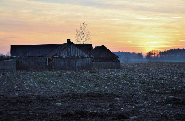 Kolonia Patrykozy - za chwilę zniknie z krajobrazu Podlasia