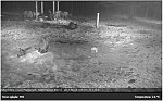 images84.fotosik.pl/371/4d2d54becffd7852m.jpg