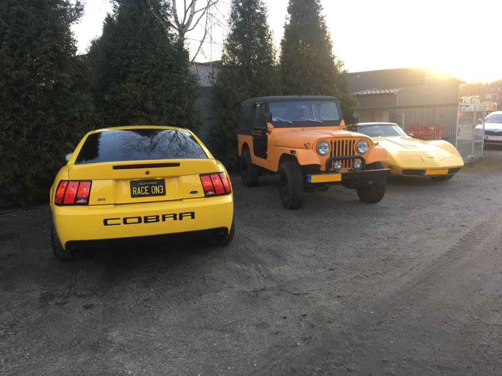 Mustang Cobra Terminator Yellow