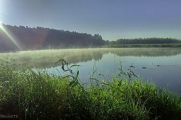 #poranek #jezioro #słońce #mgła # las