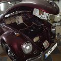 VW Beetle 1966_2